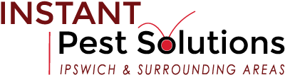 instant pest solutions logo