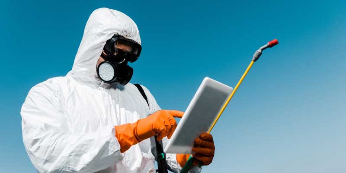 Residential Pest Control Treatments in Brisbane